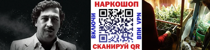 Купить наркотик Ишим СК  Марихуана  Мефедрон  Героин  Гашиш 