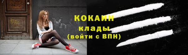 стафф Няндома