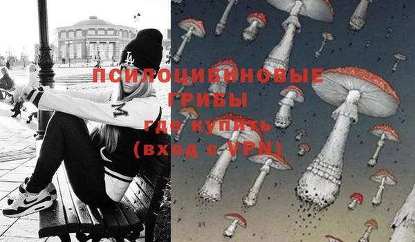 спайс Аркадак